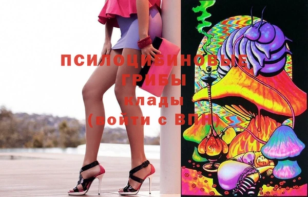 спиды Алексин