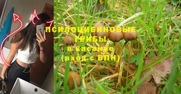 винт Абаза