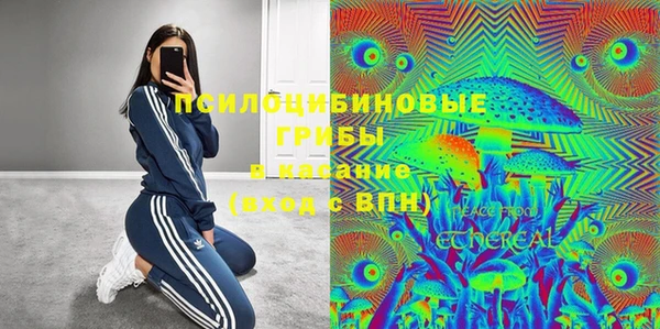 спиды Алексин