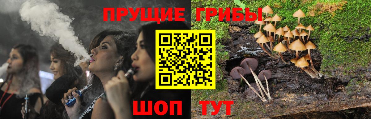 Псилоцибиновые грибы ЛСД Ухта