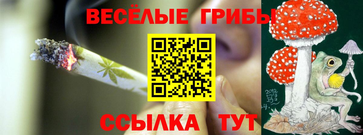Псилоцибиновые грибы Psilocybine cubensis  Вход с VPN  Ухта  Псилоцибиновые грибы Psilocybe 